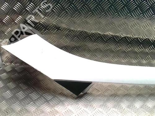 Scuttle panel RENAULT SCÉNIC III (JZ0/1_) 1.5 dCi | BP25715641C110 