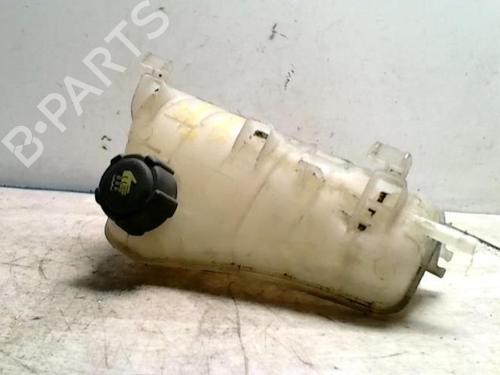 Expansion tank RENAULT KANGOO Express (FW0/1_) 1.5 dCi 75 (FW07, FW10, FW04) | BP25424535C120 