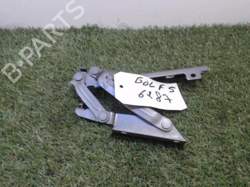 Dørhængsel/Dørbegrænser VW GOLF V (1K1) 1.9 TDI (105 hp) 31219210