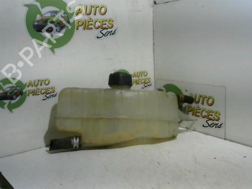 Used Expansion tank RENAULT CLIO III (BR0/1, CR0/1) 1.5 dCi (C/BR0G, C/BR1G) (68 hp) 25398688