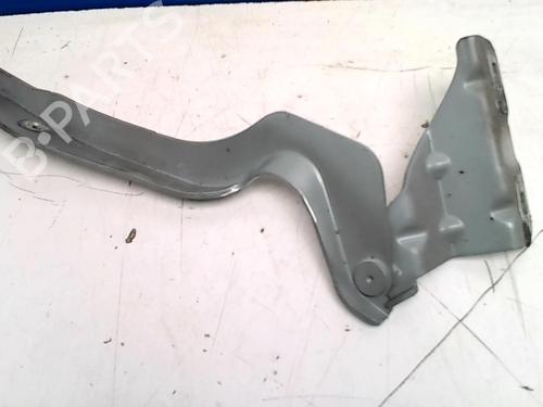 Used Hinge/Door check strap NISSAN QASHQAI I (J10, NJ10) 2.0 dCi (150 hp) 31227466