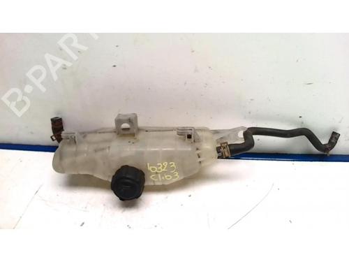 Used Expansion tank RENAULT CLIO III (BR0/1, CR0/1) 1.4 16V (98 hp) 25421087