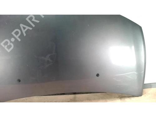 Hood RENAULT CLIO III (BR0/1, CR0/1) 1.5 dCi (BR17, CR17) | BP25416361C1 