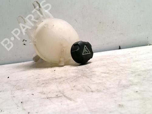 Used Expansion tank PEUGEOT 207 (WA_, WC_) 1.6 HDi (92 hp) 25423303