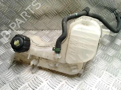 Used Expansion tank RENAULT LAGUNA III (BT0/1) 2.0 dCi (BT01, BT08, BT09, BT0E, BT0K, BT12, BT1C, BT1D,... (150 hp) 31230845