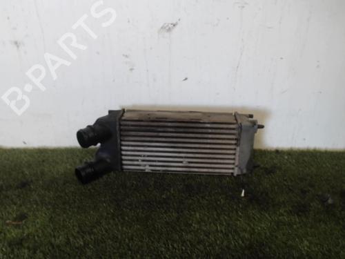 Intercooler CITROËN BERLINGO / BERLINGO FIRST Box Body/MPV (M_) 1.6 HDI 90 (MB9HX, MC9HX) (90 hp) 25396400