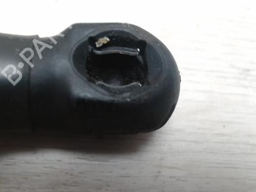 tailgate-lift-support-citroen-c3-i-fc_-fn_-2002-2003-2004-2005-2006-2007-2008-2009-2010-2011-2012-2013-28573322 main image