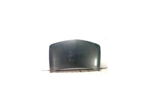 Used Hood RENAULT MEGANE II (BM0/1_, CM0/1_) 1.9 dCi (131 hp) 25428160