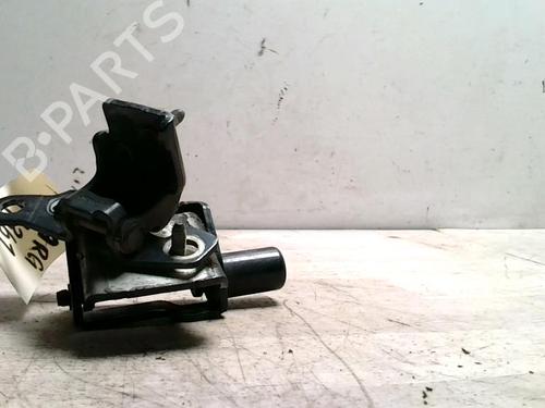 hingedoor-check-strap-renault-clio-iii-br01-cr01-2005-2006-2007-2008-2009-2010-2011-2012-2013-2014-25424383 main image