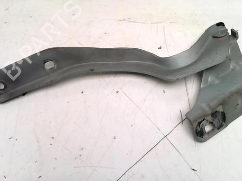 Hinge/Door check strap NISSAN QASHQAI I (J10, NJ10) 2.0 dCi | BP31227467C146