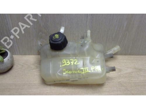 Used Expansion tank RENAULT GRAND SCÉNIC III (JZ0/1_) 1.9 dCi (JZ0J, JZ0N, JZ1K, JZ1S) (131 hp) 25383238