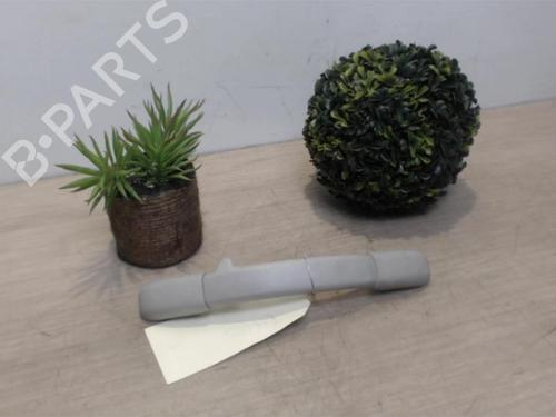 Used Interior roof handle CITROËN C3 I (FC_, FN_) 1.4 HDi (68 hp) 25390526