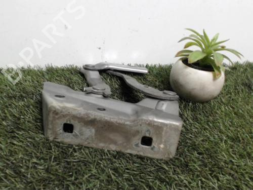 Hinge/Door check strap MERCEDES-BENZ B-CLASS Sports Tourer (W245) B 200 CDI (245.208) | BP25393390C146 