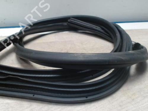 Rubber door seal NISSAN PRIMERA Hatchback (P12) 1.9 dCi | BP25421906C142 
