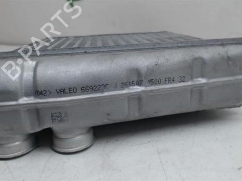 Heater matrix RENAULT CLIO III (BR0/1, CR0/1) 1.5 dCi (BR0H, CR0H, CR1S, BR1S) | BP25415512M63 