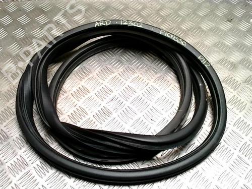 Gummiliste CITROËN C3 Picasso (SH_) 1.2 THP 110 (SHHNZ6) (110 hp) 33018276