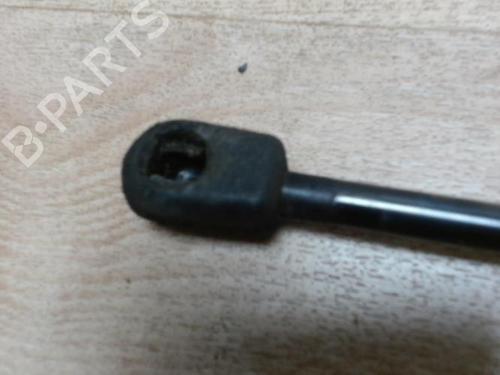Tailgate lift support PEUGEOT 1007 (KM_) 1.4 | BP29025304C138 