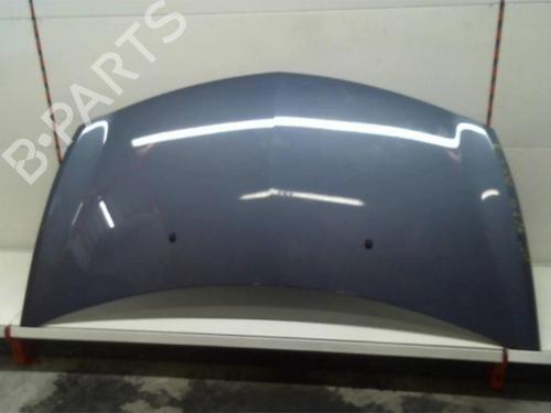 Used Hood RENAULT CLIO III (BR0/1, CR0/1) 1.5 dCi (BR17, CR17) (86 hp) 25408691