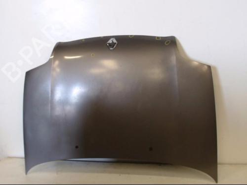 Used Hood RENAULT CLIO II (BB_, CB_) 1.9 D (B/CB0J) (65 hp) 25397550