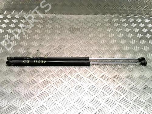 Used Tailgate lift support RENAULT SCÉNIC II (JM0/1_) 1.5 dCi (JM1F) (86 hp) 31231687