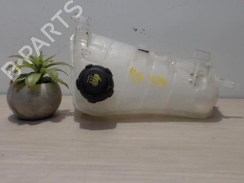 expansion-tank-renault-kangoo-express-fw01_-2008-25392213 main image