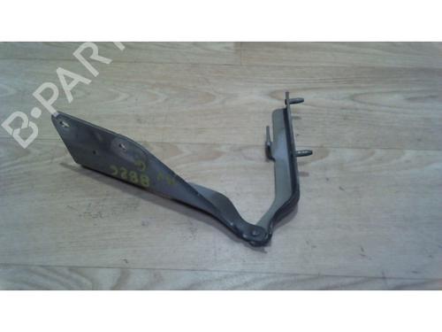 Used Hinge/Door check strap CITROËN C3 I (FC_, FN_) 1.4 HDi (68 hp) 25384638