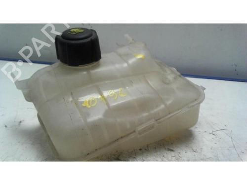 Used Expansion tank RENAULT MEGANE III Hatchback (BZ0/1_, B3_) 1.5 dCi (BZ09, BZ0D, BZ1W, BZ29, BZ14) (110 hp) 25418508