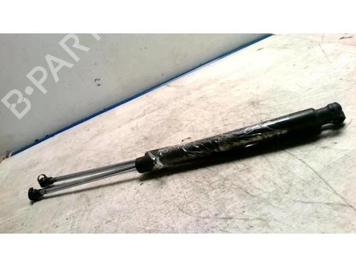 Tailgate lift support RENAULT CLIO III (BR0/1, CR0/1) 1.2 16V (BR02, BR0J, BR11, CR02, CR0J, CR11) | BP25424298C138 