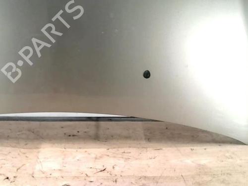 Hood RENAULT CLIO III (BR0/1, CR0/1) 1.5 dCi (C/BR0G, C/BR1G) | BP25419146C1 