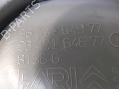 Front left interior door handle CITROËN C3 I (FC_, FN_) 1.4 HDi | BP25390520I13 