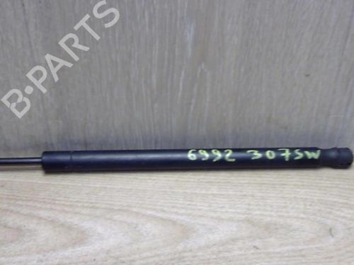 tailgate-lift-support-peugeot-307-sw-3h-2002-2003-2004-2005-2006-2007-2008-2009-25401722 main image