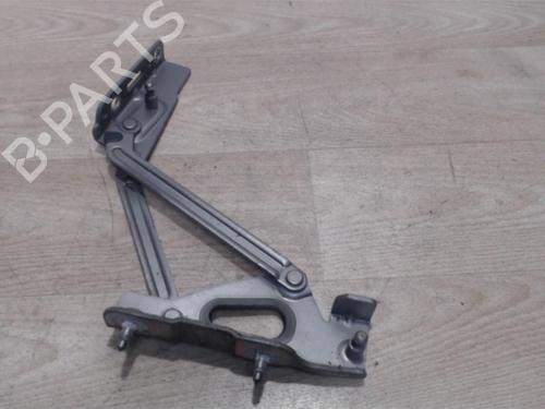 Used Hinge/Door check strap PEUGEOT 407 (6D_) 2.0 HDi 135 (6DRHRH, 6DRHRE, 6DRHRG, 6DRHRJ) (136 hp) 25414860