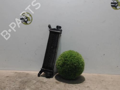 Used Intercooler Intercooler MERCEDES-BENZ A-CLASS (W168) A 170 CDI (168.009, 168.109) (95 hp) 25389757 25389757