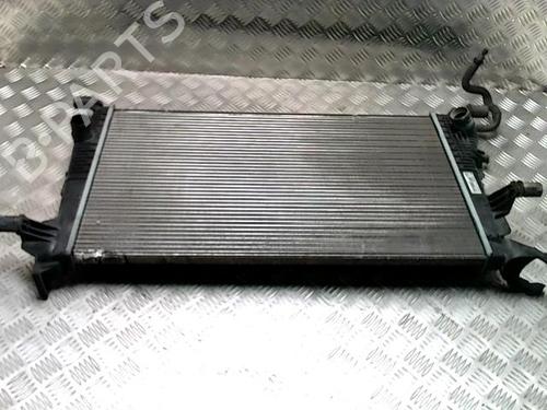 Used Water radiator RENAULT MEGANE III Hatchback (BZ0/1_, B3_) 1.2 TCe (BZ2B, BZ11) (116 hp) 31263134
