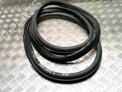 rubber-door-seal-citroen-berlingo-box-bodympv-b9-2008-34508554 main image