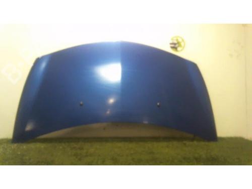 Hood RENAULT CLIO III (BR0/1, CR0/1) 1.5 dCi (C/BR0G, C/BR1G) | BP25408414C1 