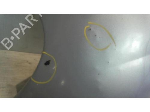 Left front fenders DAEWOO MATIZ (M100, M150) 0.8 | BP25387862C41 