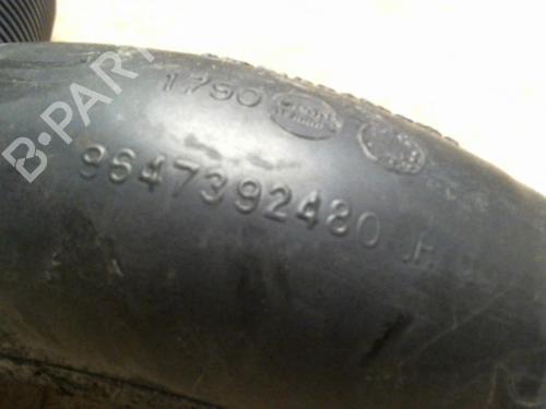 Luftventil CITROËN XSARA PICASSO (N68) 1.6 HDi (90 hp) 31234886