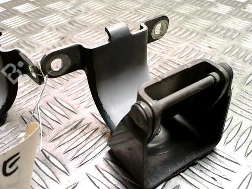 Hinge/Door check strap RENAULT MEGANE III Coupe (DZ0/1_) 1.9 dCi (DZ0N, DZ0J, DZ1J, DZ1K) | BP32143235C146 