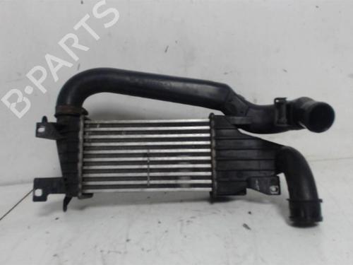 Intercooler OPEL ASTRA H (A04) 1.7 CDTI (L48) | BP25393289M30 