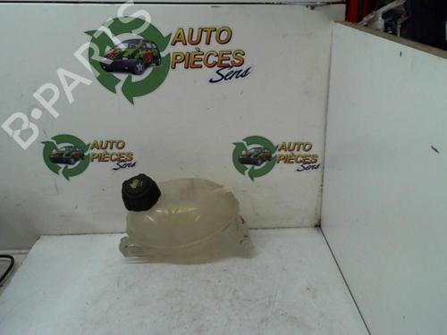 expansion-tank-renault-clio-iv-bh_-2012-2013-2014-2015-2016-2017-2018-2019-2020-2021-25401193 main image