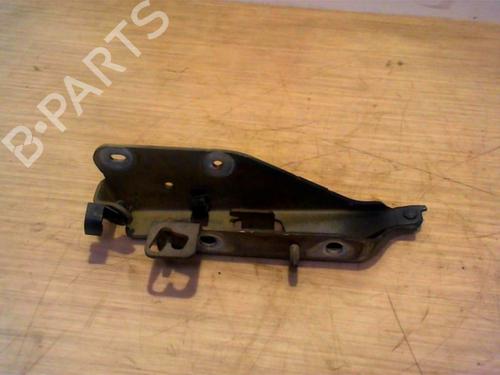 Hinge/Door check strap CITROËN C3 I (FC_, FN_) 1.4 HDi | BP25390522C146 