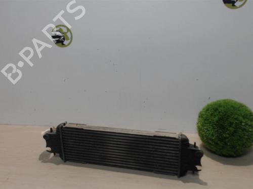 Intercooler OPEL VIVARO A Van (X83) 1.9 DTI (F7) | BP25392541M30 