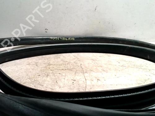 rubber-door-seal-renault-clio-iv-bh_-2012-2013-2014-2015-2016-2017-2018-2019-2020-2021-25425147 main image