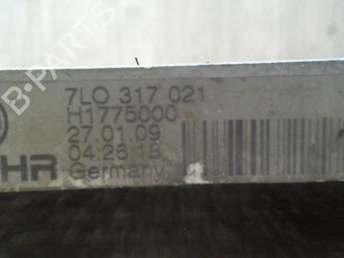 Used Oil radiator PORSCHE CAYENNE (9PA) S 4.8 (385 hp) 31237652