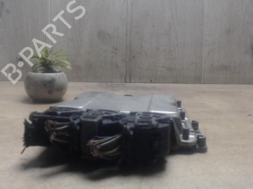 Computer RENAULT MEGANE I (BA0/1_) 1.9 dCi (BA05, BA1F) (102 hp) 31220303