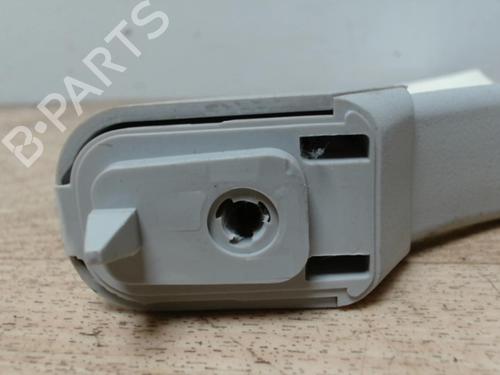 Used Interior roof handle PEUGEOT 1007 (KM_) 1.4 (75 hp) 29046829