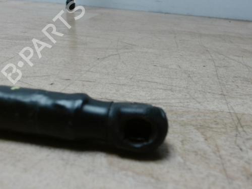 Tailgate lift support PEUGEOT 1007 (KM_) 1.4 | BP29025304C138 