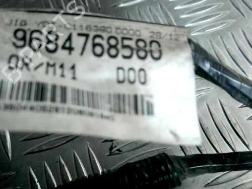 Electronic module CITROËN C5 III (RD_) 2.0 HDi 165 (RDRHHA, RDRHH8) | BP25617766M83