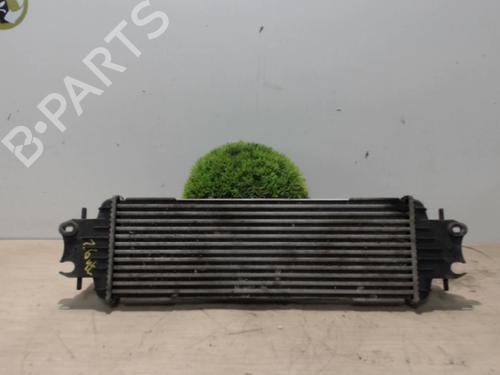 Intercooler RENAULT TRAFIC II Van (FL) 1.9 dCi 100 (FL0C, FL0K, FL0B) | BP25391607M30